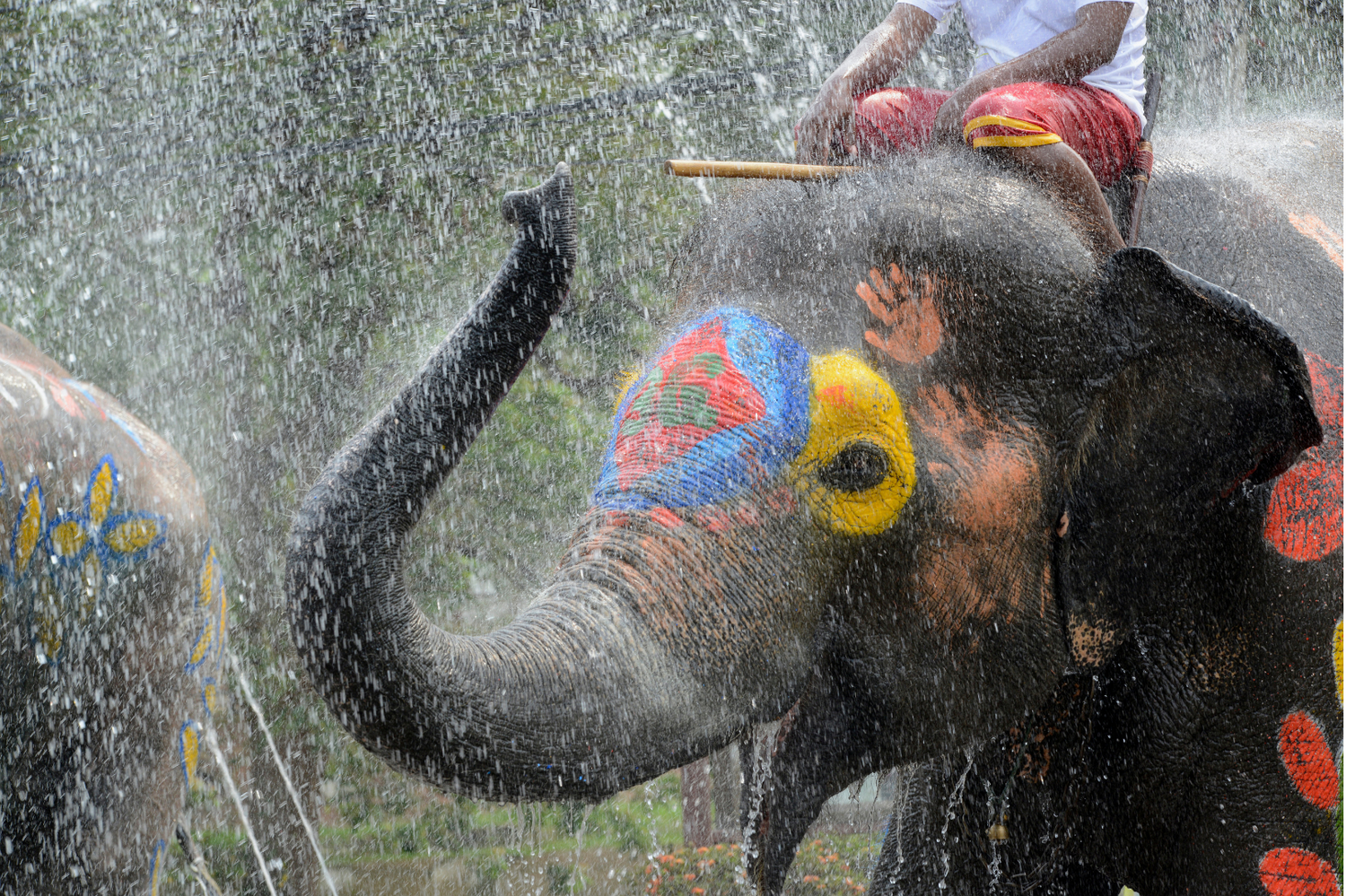 【泰國潑水節】人生中一定要體驗一次這場你不可錯過的亞洲盛事!